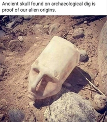 Ancient skull proof of our alien origins