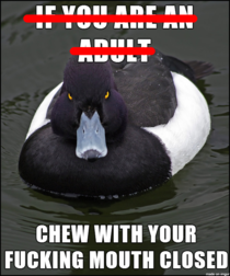 Angry Advice Duck 