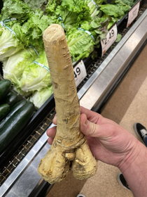 Another healthy sized vegetable