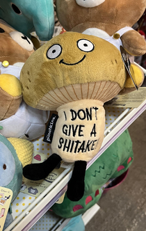 Another slightly offensive plushie resonates well with me