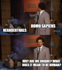 Anthropology memes are few and far between