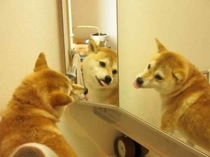 Any girls be like Mirror pic