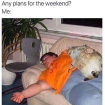 Any plans for the weekend