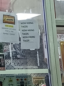Any tacos out there looking for a job