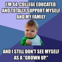 Anyone else feel this way about adulthood