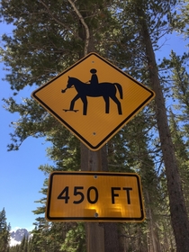 Apparently theres a bong smoking skateboard riding horse in Mammoth Lakes CA  I cant wait to find him and party