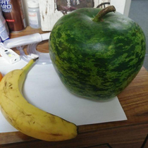 Applemelon Bananna for Scale