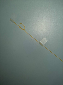 Art piece knotted spaghetti on wall  My mom has had this in her room for over a year If the banana can make money this is worth a try