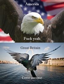 as a Brit this is how I feel