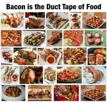As a Canadian I approve of duct tape AND bacon