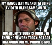As A First Year Teacher Falling On Hard Times