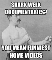 As an Australian hearing that its shark week in the US