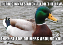 As someone who drives  miles a day too many people need to hear this