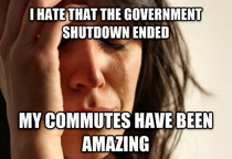 As someone who works in the private sector in DC with some of the countrys worst traffic