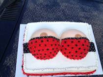 Asked someone on Craigslist to make a cake for my boyfriends birthday Im impressed