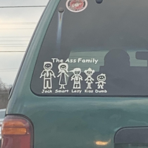 Ass family