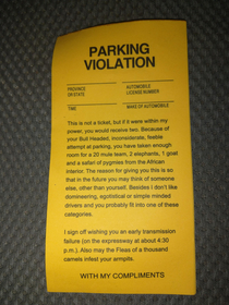 Asshole parking ticket