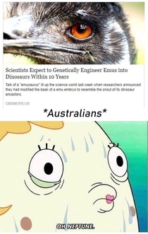Australians beware