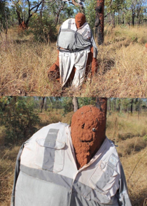 Australians putting clothes on termite mounds