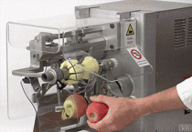 Automatic apple cutting machine
