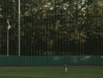 Awesome diving catch