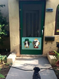 Awesome door in Albuquerque
