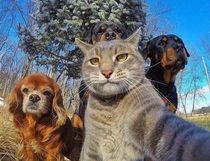 Awesome Selfie with the gang Cool shot