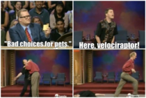Bad choices for pets