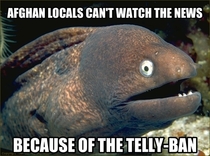 Bad joke eel