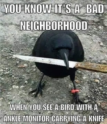 Bad neighborhoods be like