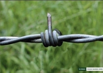 Barb wire with an attitude