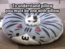Be the pillow