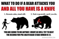 Bear attack survival tip 