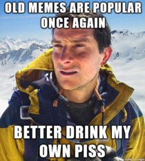 Bear Grylls has a solution for old memes rising