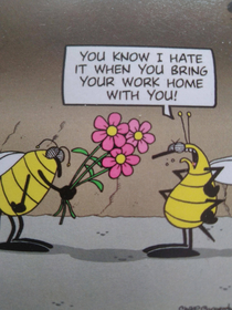 Bees Valentines day problems