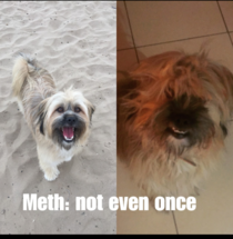 Before and after meth - but dont worry hes been drug free since 