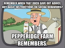Behavioral Instructions Duck