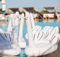 Behold the ridiculous inflatable swan-thing