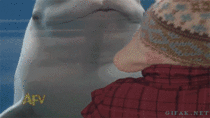 Beluga Whale frightens child