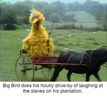 Big Bird is a dick