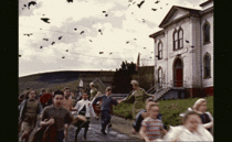 Birds made into a perfect looped gif