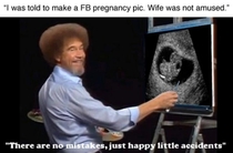 Bob Ross the wisest of them all