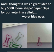 Bone shaped paper clip