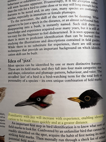 Books about British birds should come with a warning