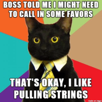 Boss gives Business Cat some advice