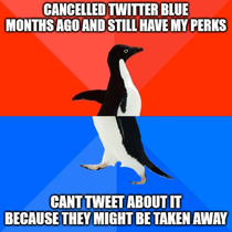 Bought Twitter Blue in the first month to see what it was about