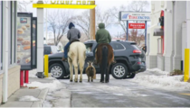 Boys on horseback ride through McDonalds drive-thru with goat in tow