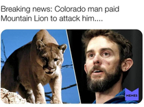 Breaking News Colorado Man Paid Mountain Lion To Attack Him