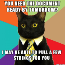 Business Cat helps you meet the deadline