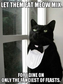 Business Cat Lets have some One Percent Cat